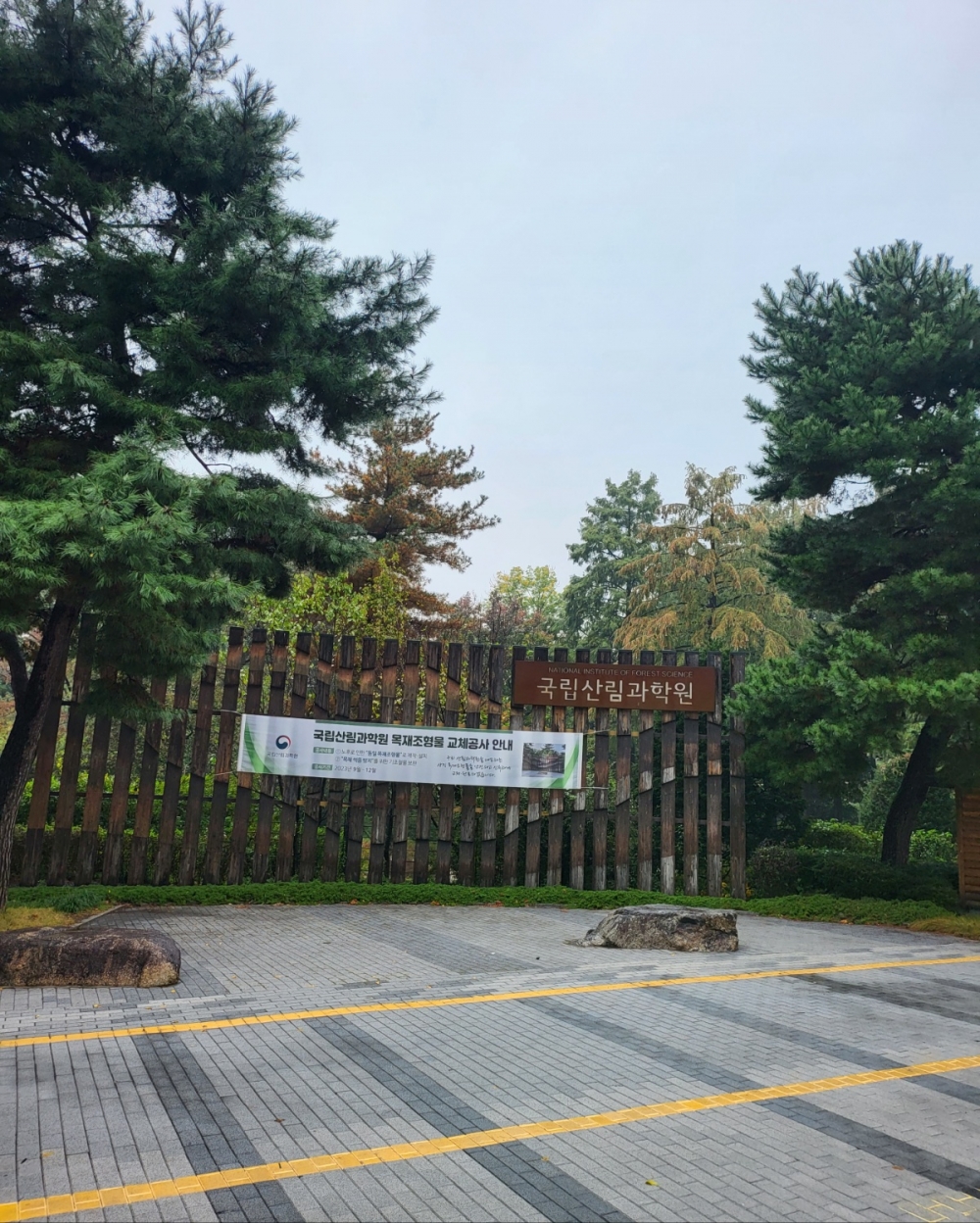 한국 수목보호협회  수목치료기술자 17기생  협회 방문(11월 9일)